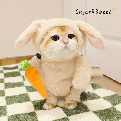 Rabbit or Panda Costume