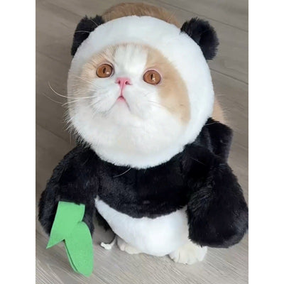 Rabbit or Panda Costume