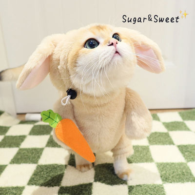 Rabbit or Panda Costume