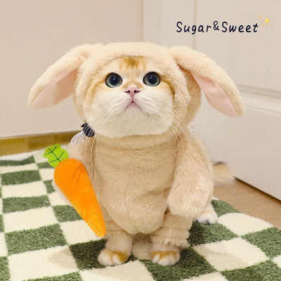 Rabbit or Panda Costume