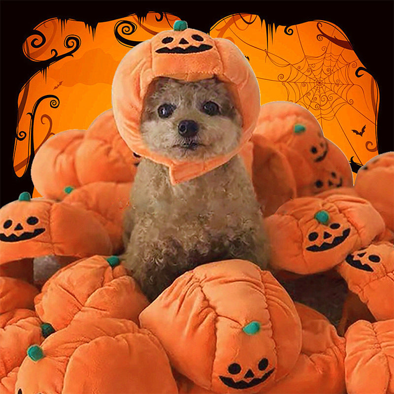 Pumpkin Hat