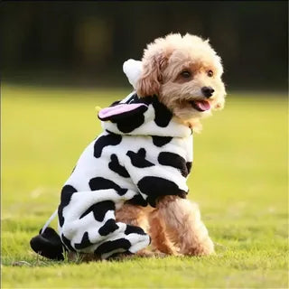 Pet Apparel & Costumes